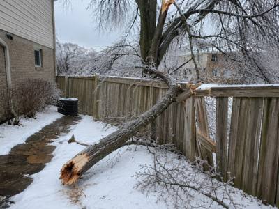 Truck loaded with removed tree branches and debris